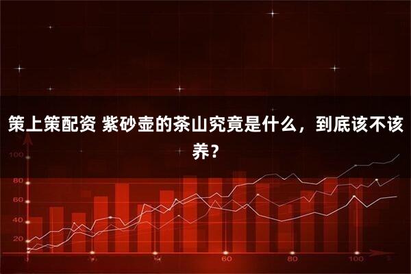 策上策配资 紫砂壶的茶山究竟是什么，到底该不该养？