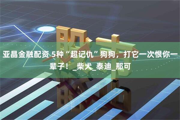 亚晶金融配资 5种“超记仇”狗狗，打它一次恨你一辈子！_柴犬_泰迪_那可