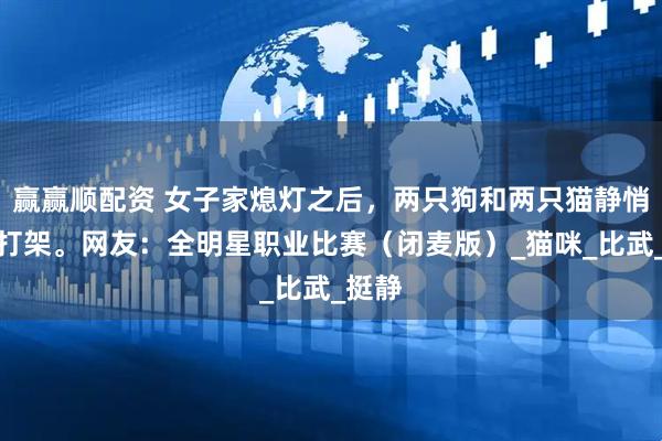 赢赢顺配资 女子家熄灯之后，两只狗和两只猫静悄悄地打架。网友：全明星职业比赛（闭麦版）_猫咪_比武_挺静