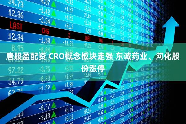 唐股盈配资 CRO概念板块走强 东诚药业、河化股份涨停