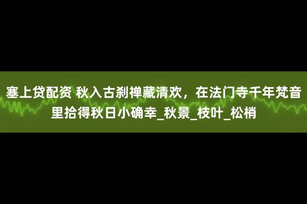 塞上贷配资 秋入古刹禅藏清欢，在法门寺千年梵音里拾得秋日小确幸_秋景_枝叶_松梢