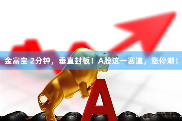 金富宝 2分钟，垂直封板！A股这一赛道，涨停潮！