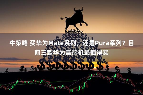牛策略 买华为Mate系列，还是Pura系列？目前三款华为高端机最值得买